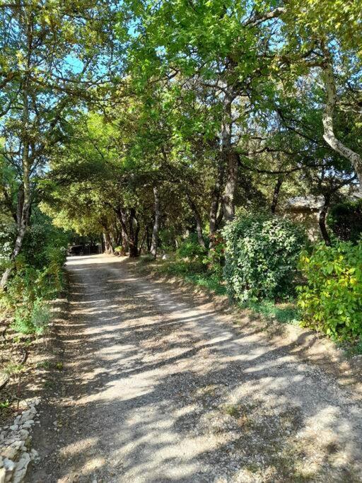 Villa Le Bosquet En Luberon. Ménerbes Eksteriør bilde