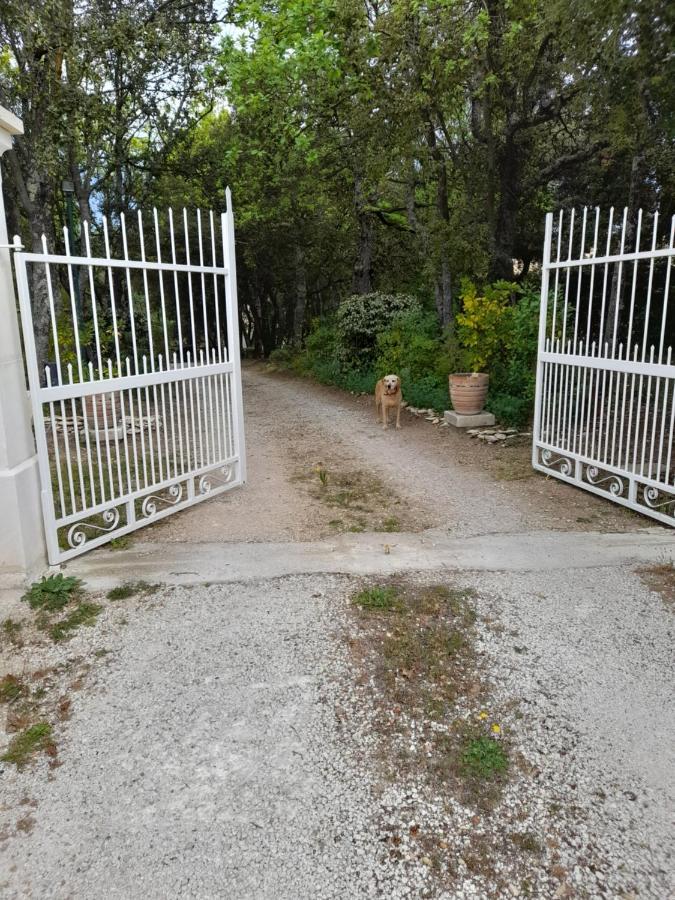 Villa Le Bosquet En Luberon. Ménerbes Eksteriør bilde